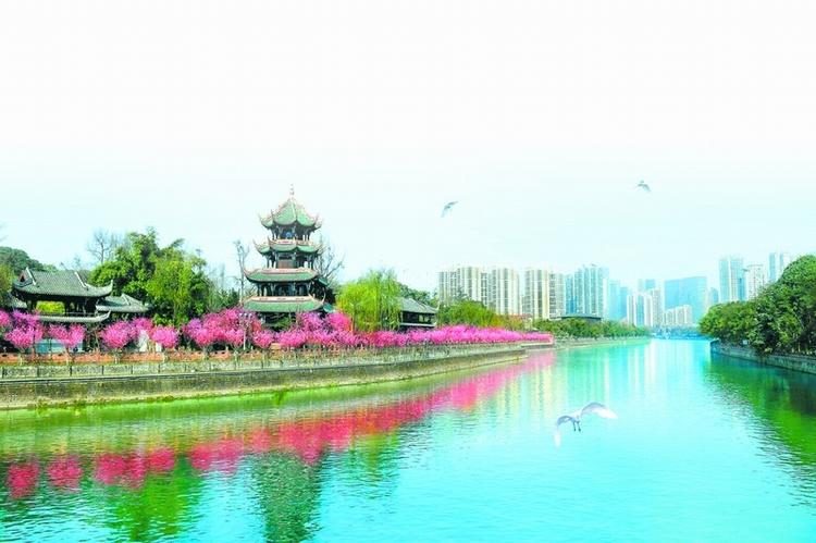 （中首）夜游锦江上新日航航线 乘船看800米梅花长廊_fororder_996fa70d-2f1d-4745-bf43-452b22e4c623