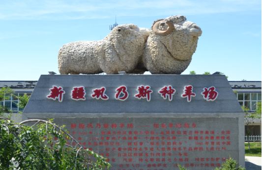 图片4.png