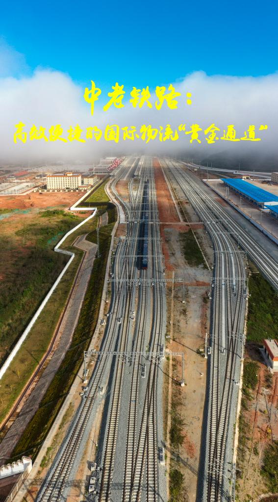 新时代·新地标｜中老铁路：高效便捷的国际物流“黄金通道”