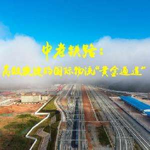 新时代·新地标｜中老铁路：高效便捷的国际物流“黄金通道”
