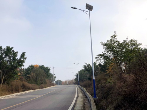 太阳能路灯。特约通讯员 周云 摄