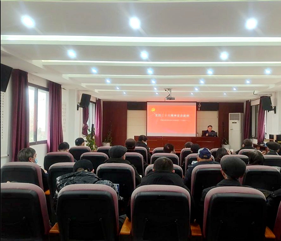 两路街道同茂社区开展了党的二十大精神专题宣讲活动。两路街道办事处供图 华龙网发