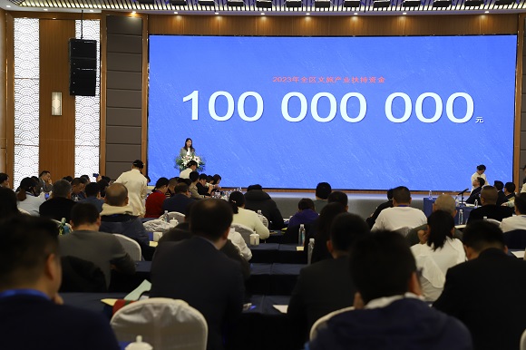 大会现场。 大足区融媒体中心供图 华龙网发