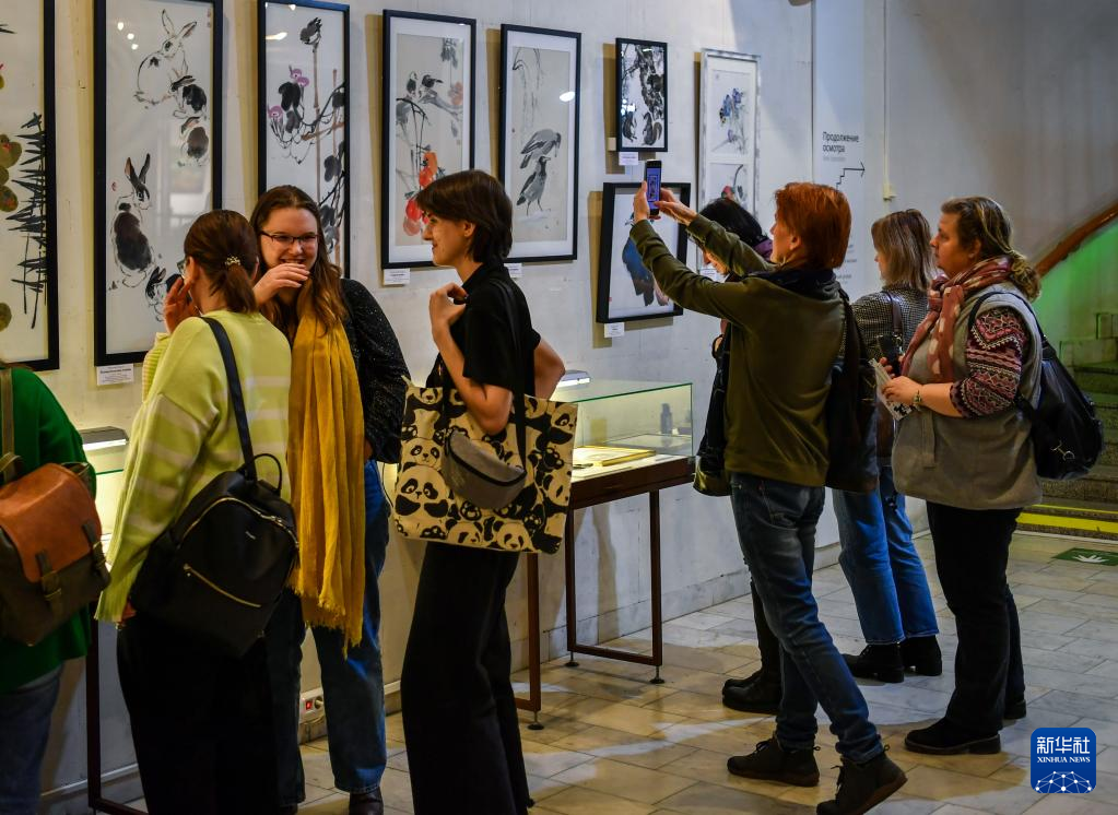 莫斯科：中国绘画展吸引市民