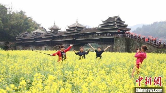 图为游客在三江侗族自治县程阳八寨赏花拍照。　龙佳倩 摄