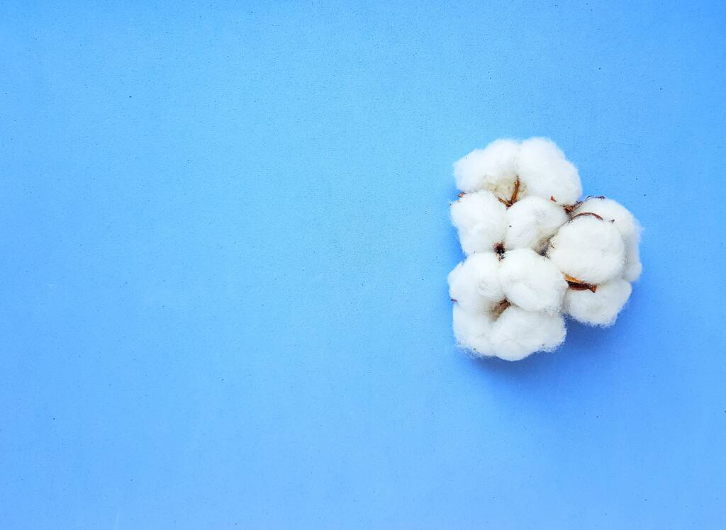 美棉播种进度处于偏慢水平 棉花预计震荡调整为主