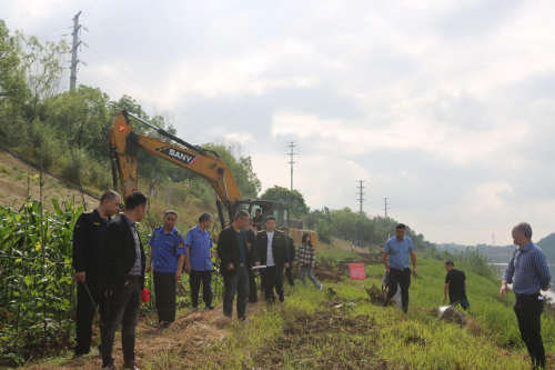 新化县河长办联合多部门清除资江沿岸违法种植行为
