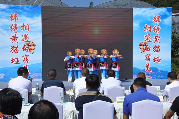 ​发展白肉“小枇杷”    做强特色“大产业”