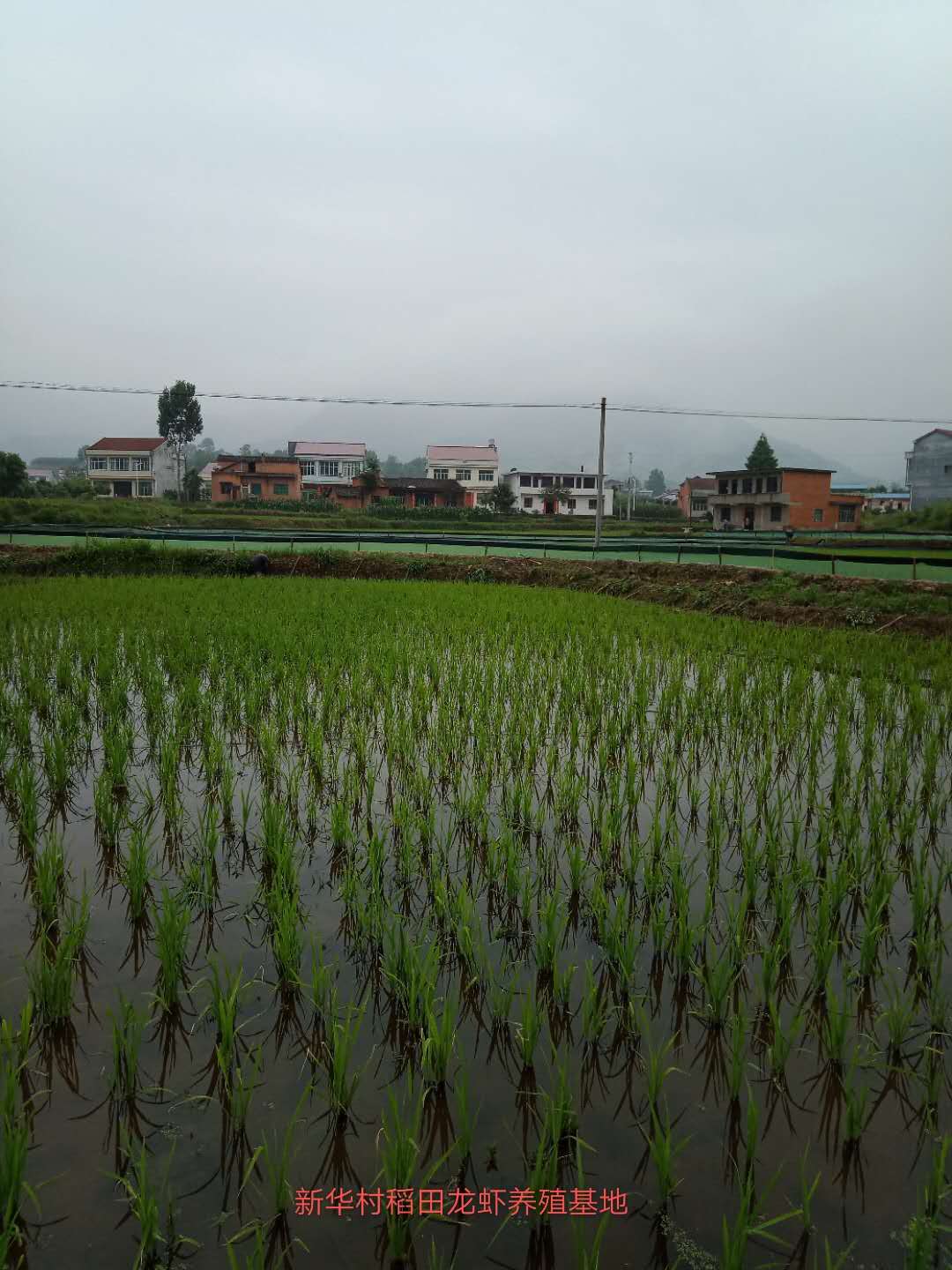 微信图片_20200330141056.jpg