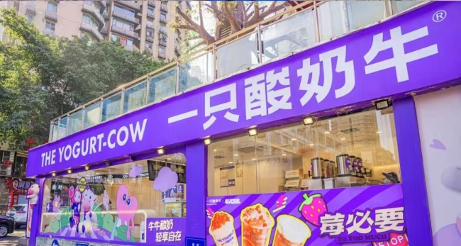 现制酸奶不好做？新乳业拟转让一只酸奶牛45%股权