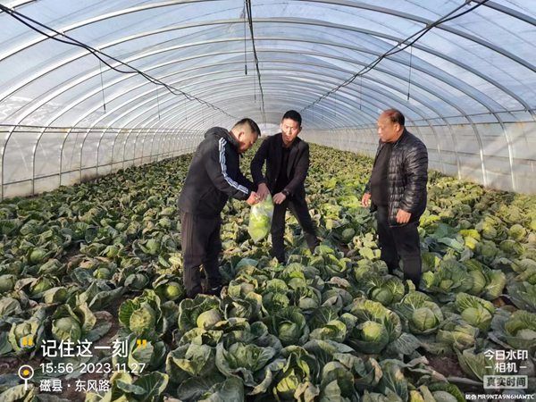 河北磁县打造质量安全体系提升特色农产品市场竞争力
