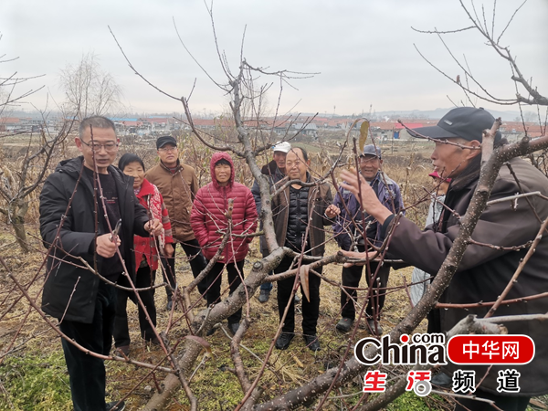 威海市临港区蔄山镇台道头村党支部多措并举夯实丰收基础