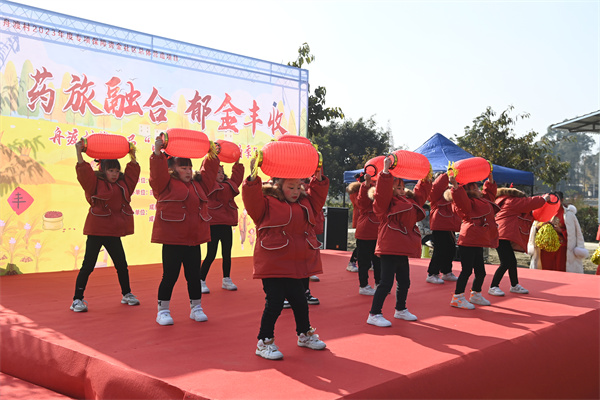 共享郁金丰收好时光！舟渡村第三届丰收节暨“品鉴金香·亲子采摘季”活动盛大举办