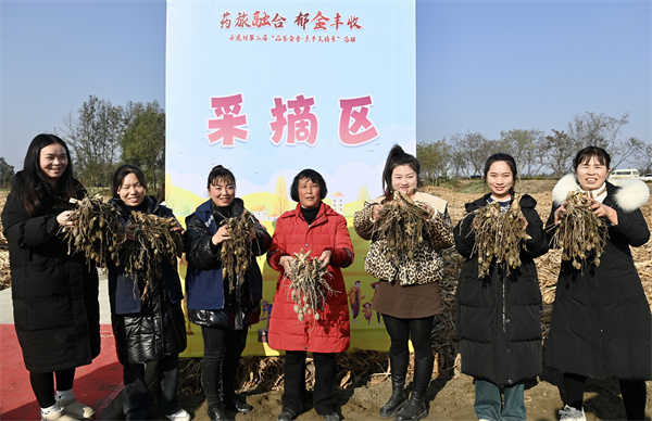共享郁金丰收好时光！舟渡村第三届丰收节暨“品鉴金香·亲子采摘季”活动盛大举办