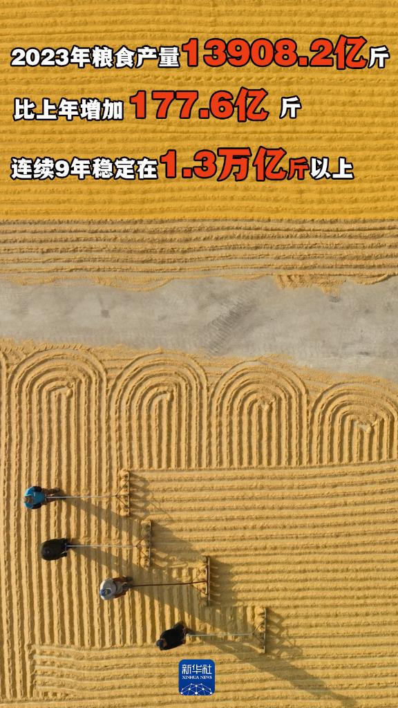 权威数读｜这组数据，展现“三农”工作新气象