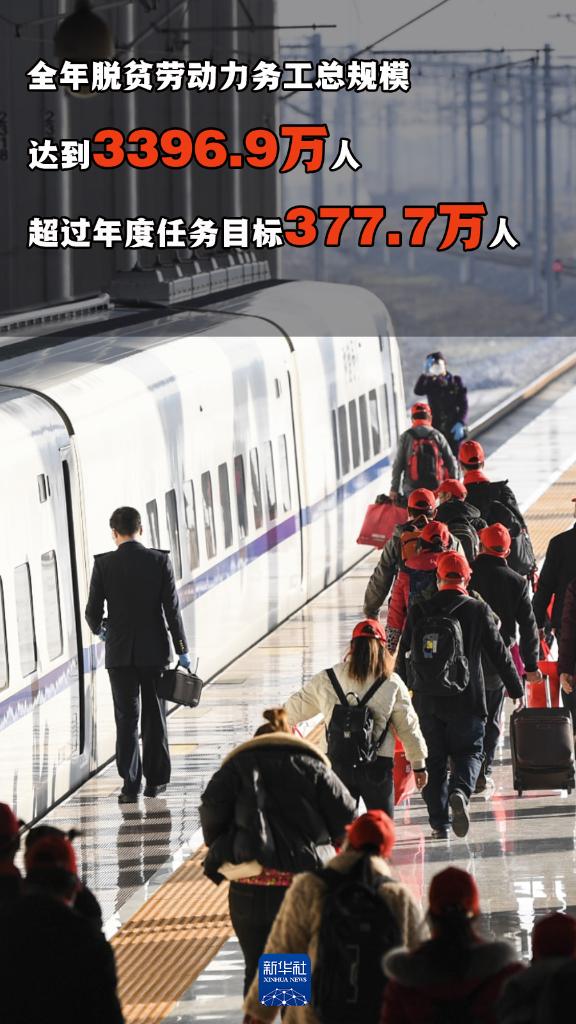 权威数读｜这组数据，展现“三农”工作新气象