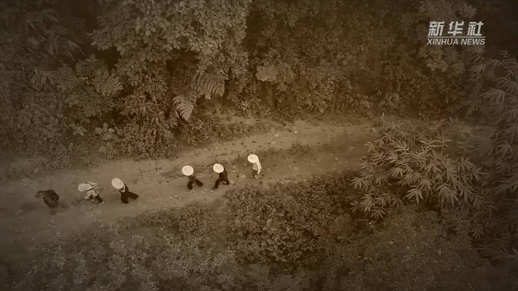 厦门军营村：高山偏远村的绿色发展之路