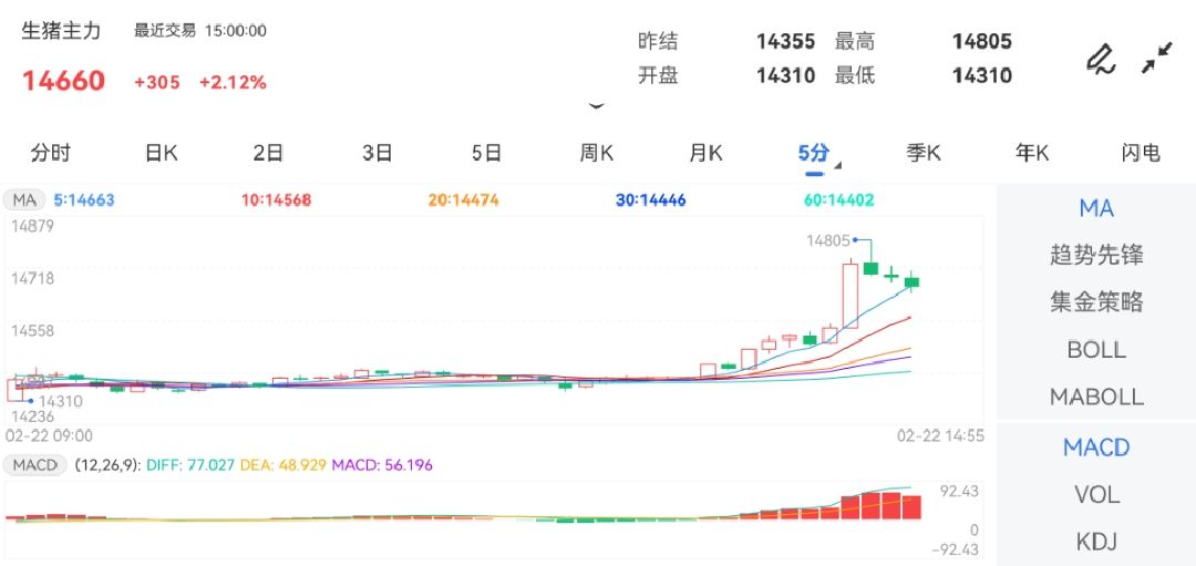 2月22日期货软件走势图综述：生猪期货主力涨2.12%