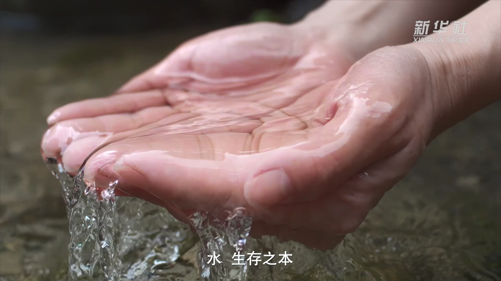 调水节水护航一江清水永续北送