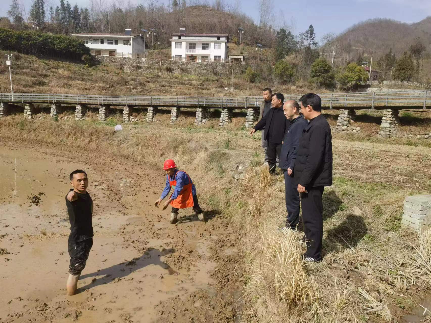 技术指导.jpg