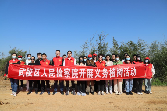 武陵区检察院开展义务植树活动