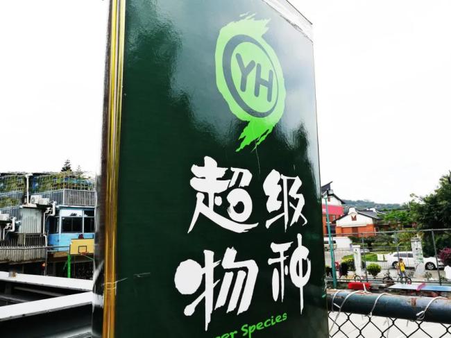 传统超市，还有存在的必要吗？