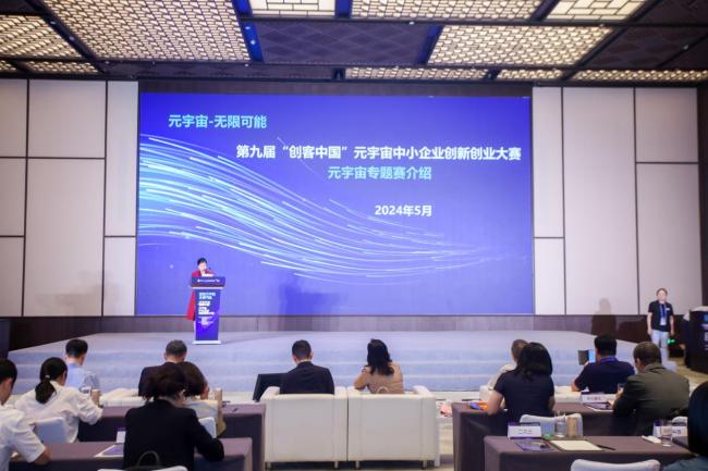北京信息化协会秘书长凌玲
