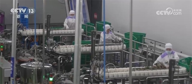 口味升级、跨界“上新”、海外“出圈”……舌尖上的“端午经济”释放消费活力
