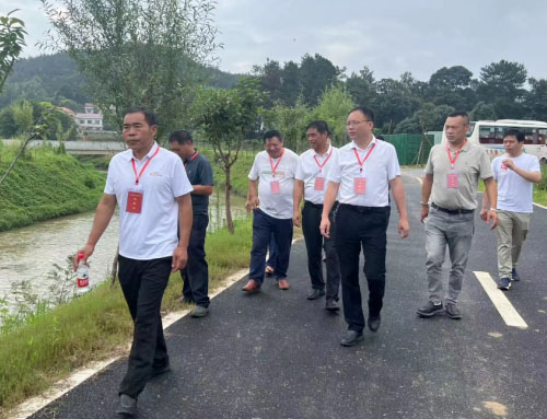 湖南:衡山县开云镇人大代表视察评议，助力民生事业发展
