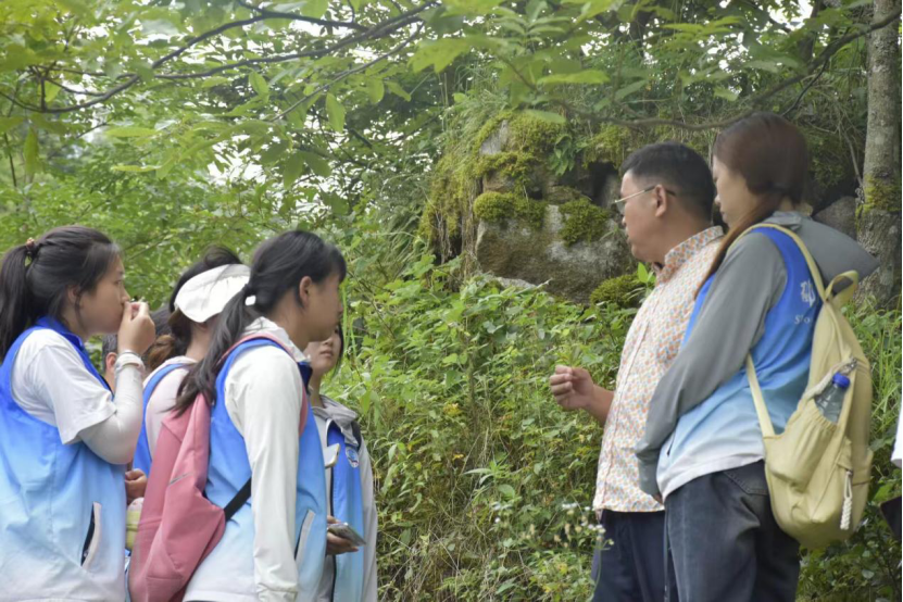 邵阳学院赴新宁县乡村振兴促进团：共赴“夏”乡梦，青春正当时