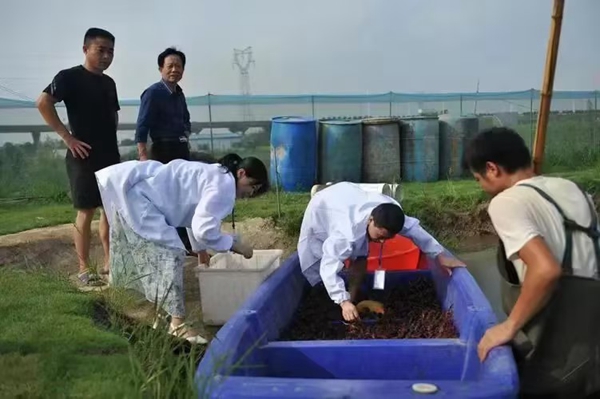 河北磁县多措并举加强水产品监管  确保质量安全