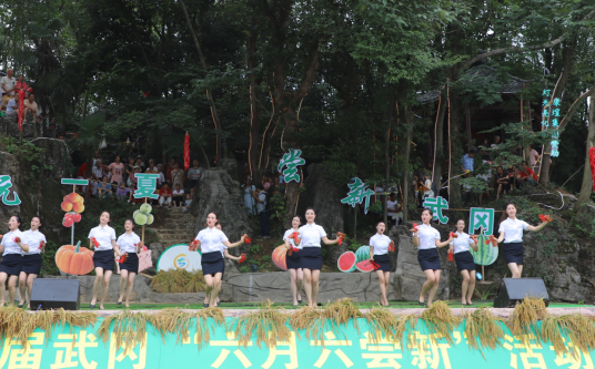湖南武冈：非遗润廉心 文化共传承