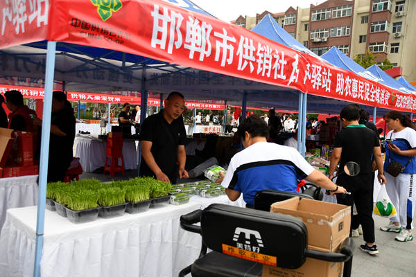 邯郸市民政局开展社会组织助力乡村振兴 消费帮扶活动