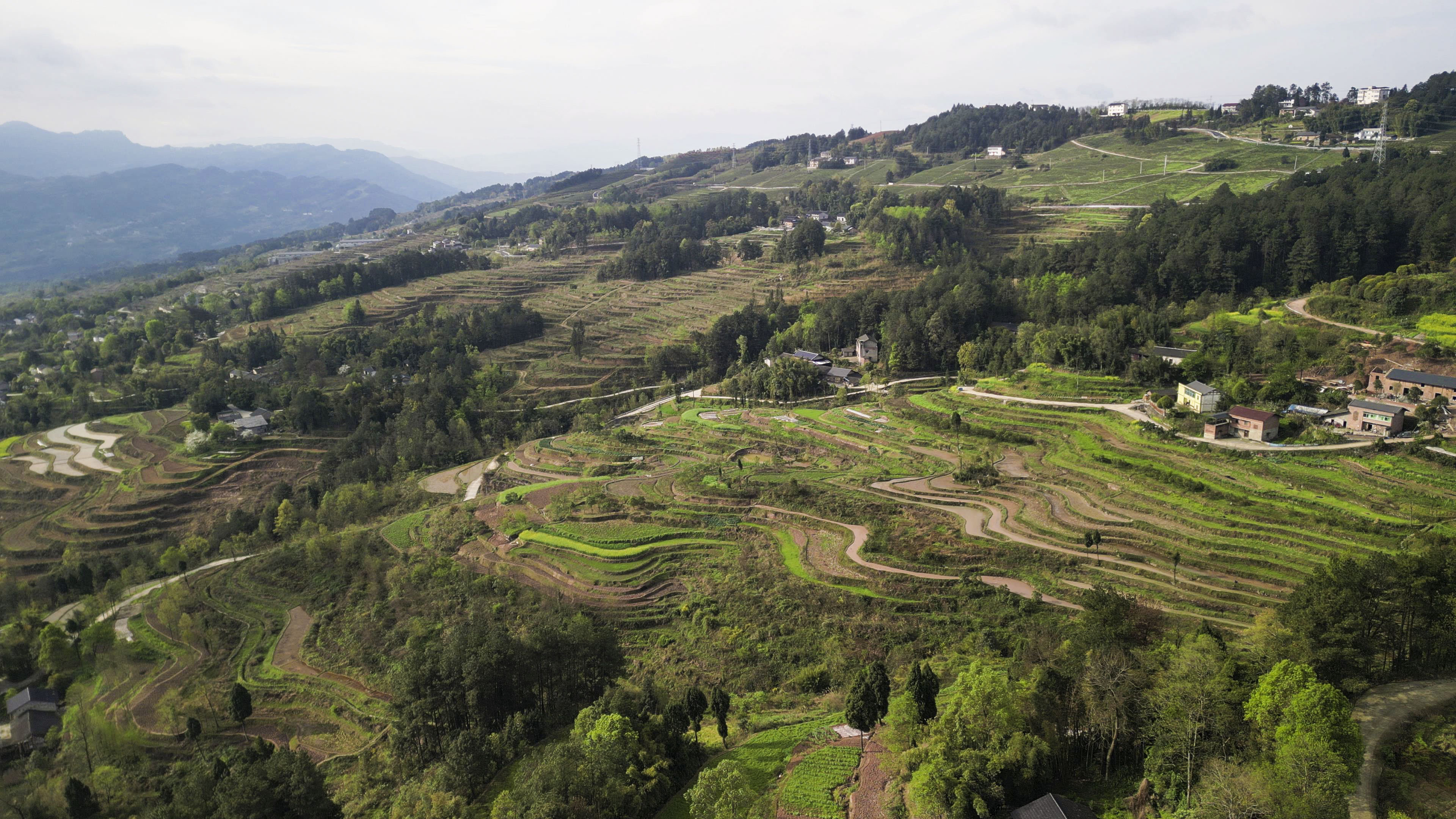 DJI_0392[00-00-02][20240909-193849836].jpg