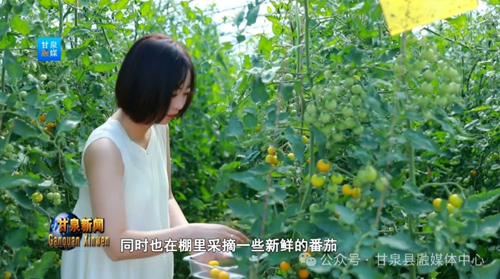 640 (2)_副本.png