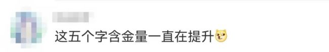 雷军回应“友商是XX”言论：2015年说的！刚因“AI语音骂人”惹争议…
