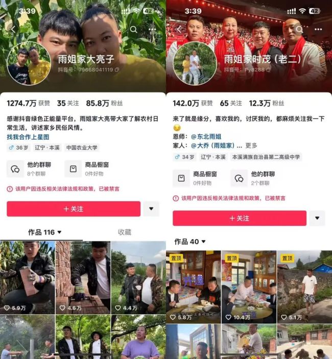 东北雨姐“跌倒”，东北雨宙“偷家”