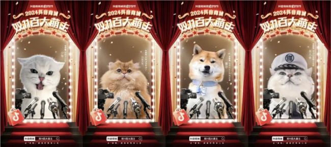 这个双11，乘上抖音的风