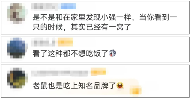 视频疯传！老字号陶陶居后厨老鼠啃包子？全面销毁，涉事员工停职！监管部门回应