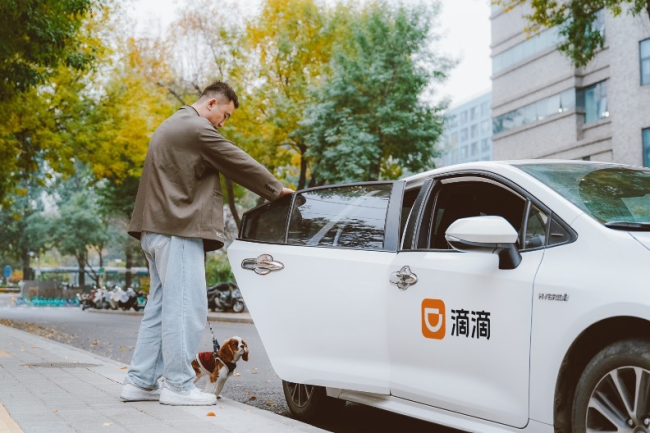 滴滴宠物出行来了！宠物快车全国上线 宠物专车覆盖49城