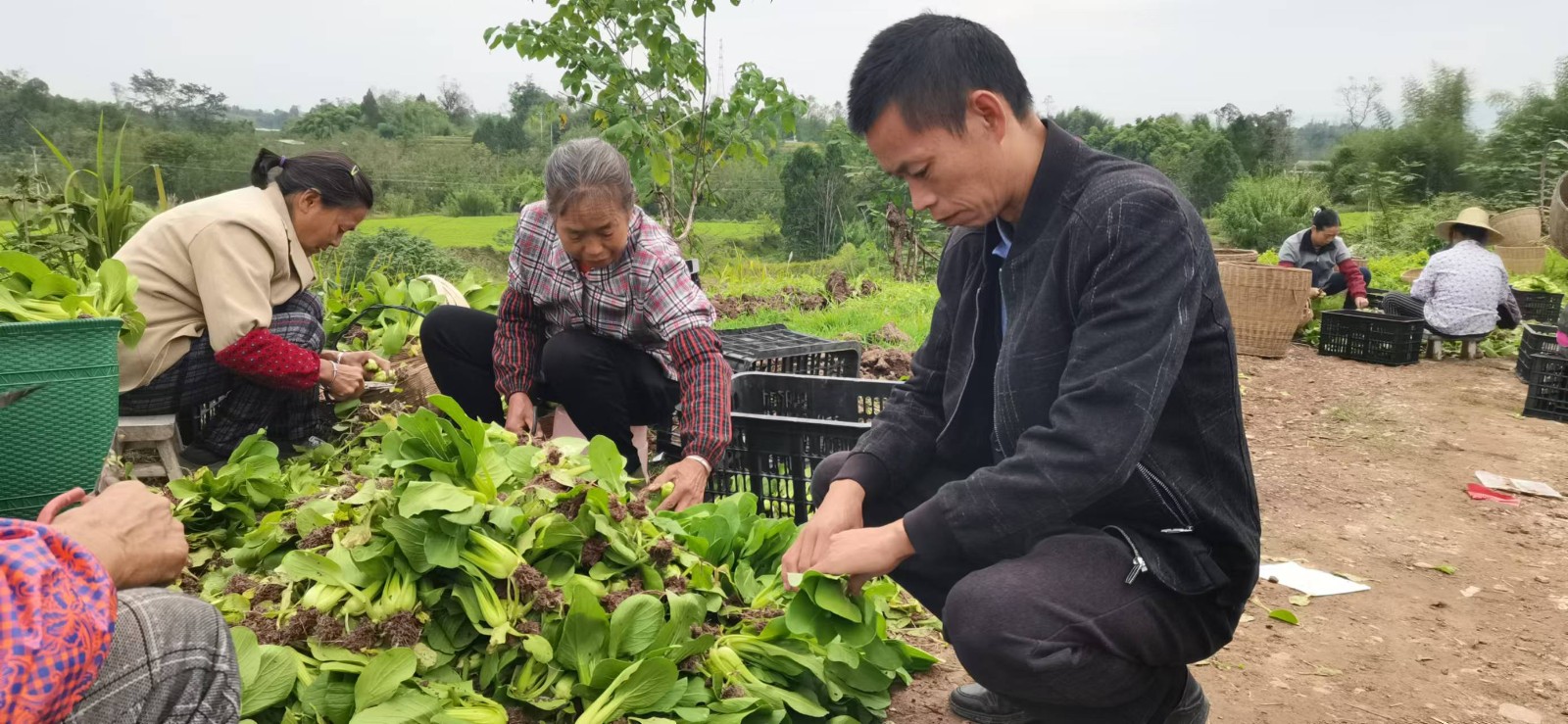村民分拣打包。拍摄：何巧丽.jpg