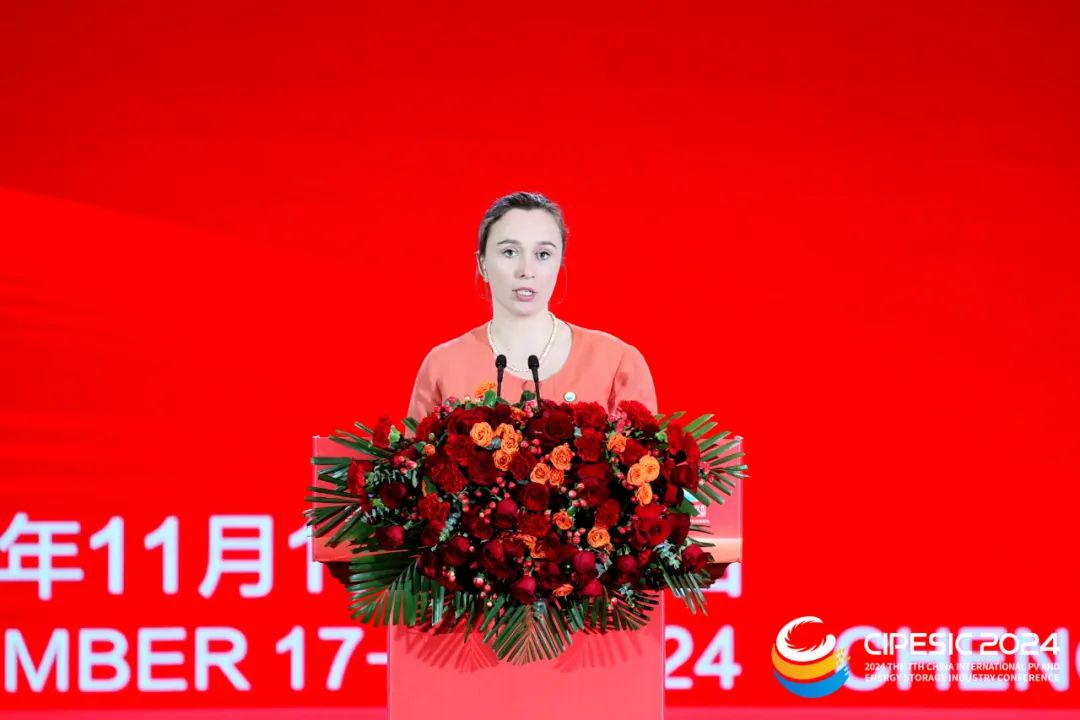 光储新时代 双碳新征程丨2024第七届中国国际光伏与储能产业大会隆重举行