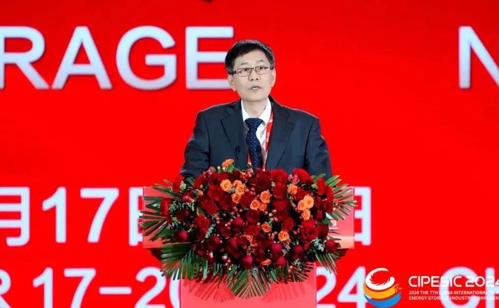 光储新时代 双碳新征程丨2024第七届中国国际光伏与储能产业大会隆重举行