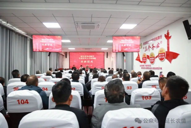 微信截图_20241122142154.png