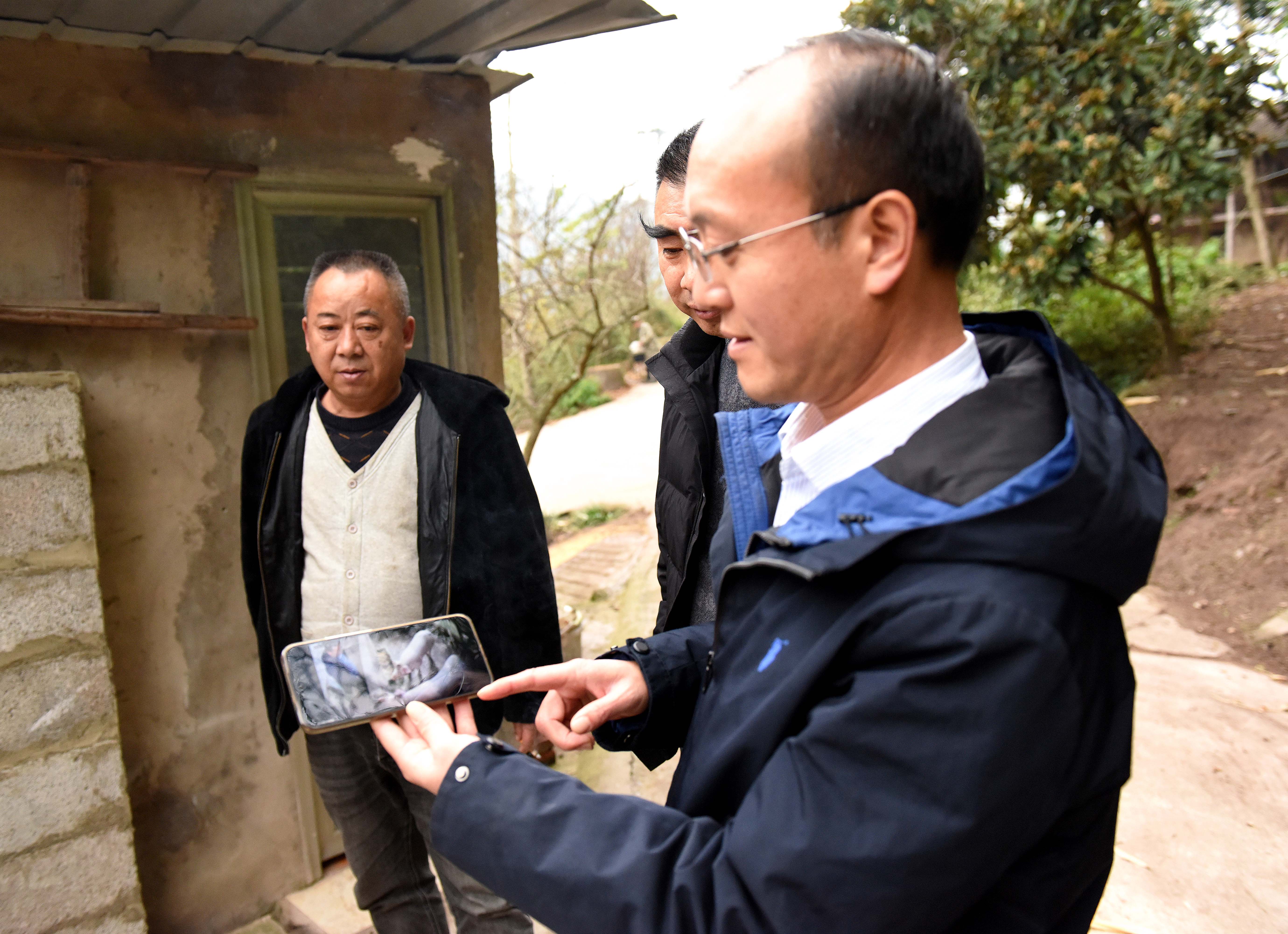 三河猪4.jpg