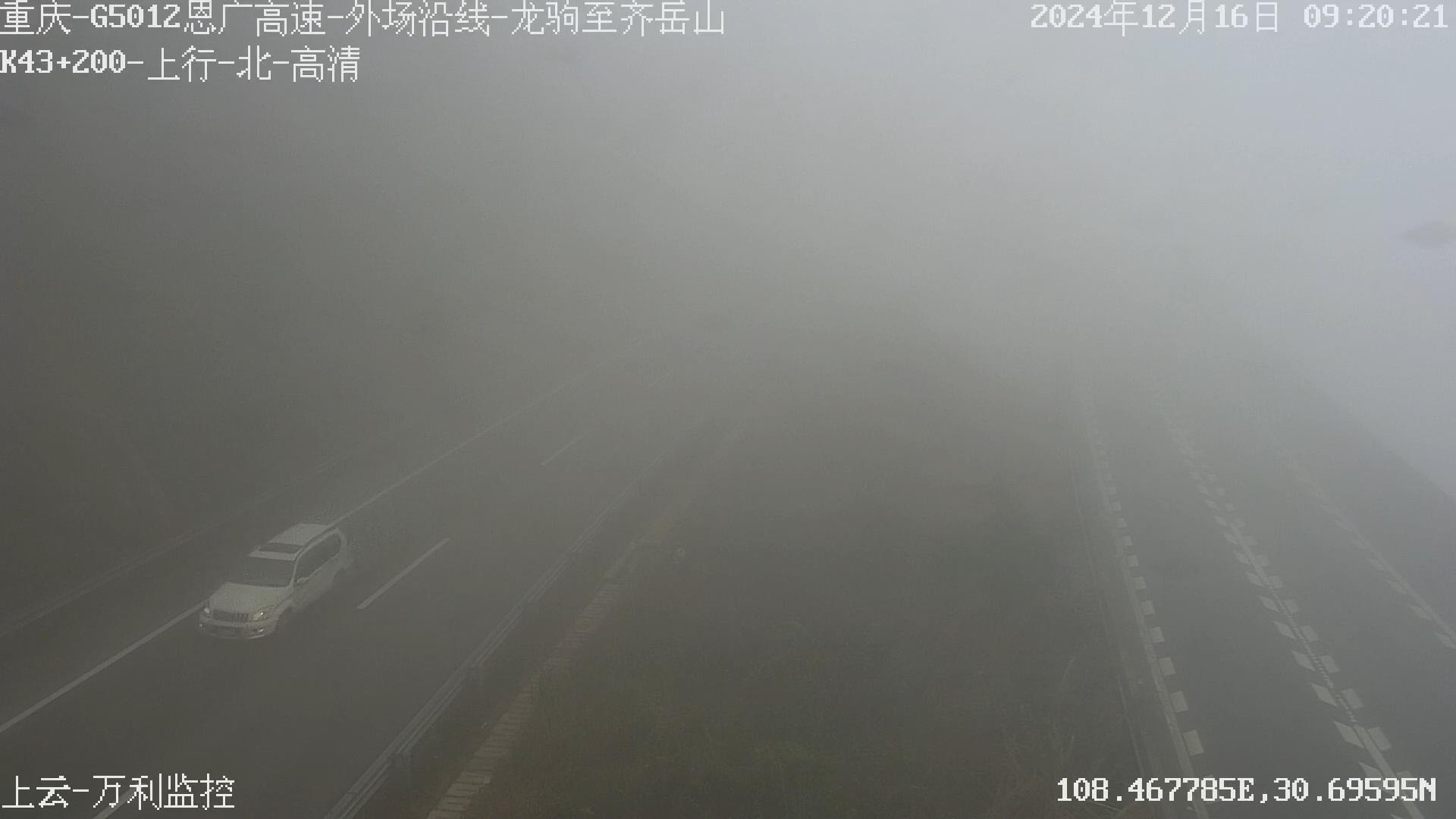 G5012恩广高速龙驹段浓雾弥漫交巡警提醒司机朋友安全出行_20241216131403.JPG