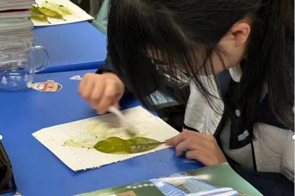 湖南衡阳市六中开展创意叶脉书签比赛活动