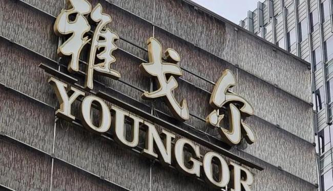 能接阿里的盘，雅戈尔凭什么？