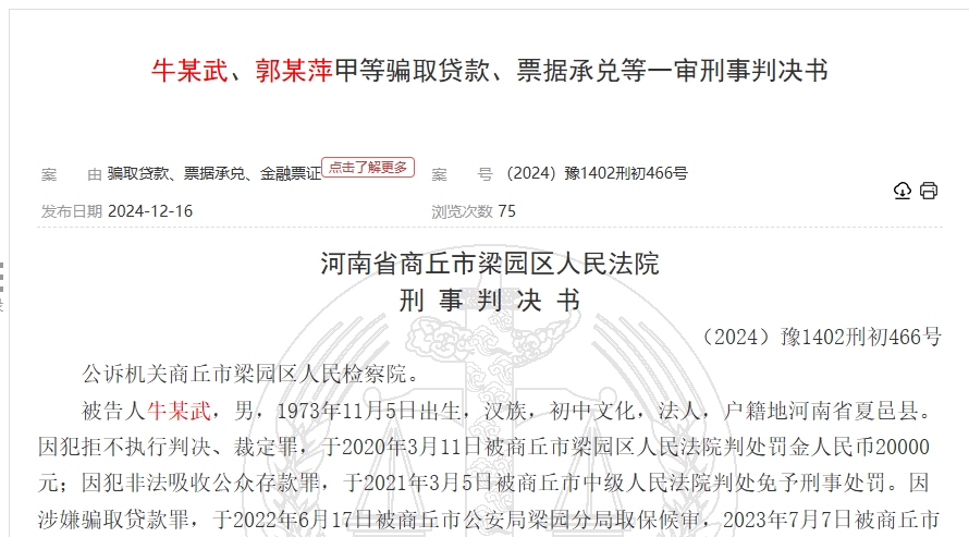 河南商丘华商农商银行5800万骗贷案曝光：11个贷款审查环节形同虚设，多名银行工作人员获刑