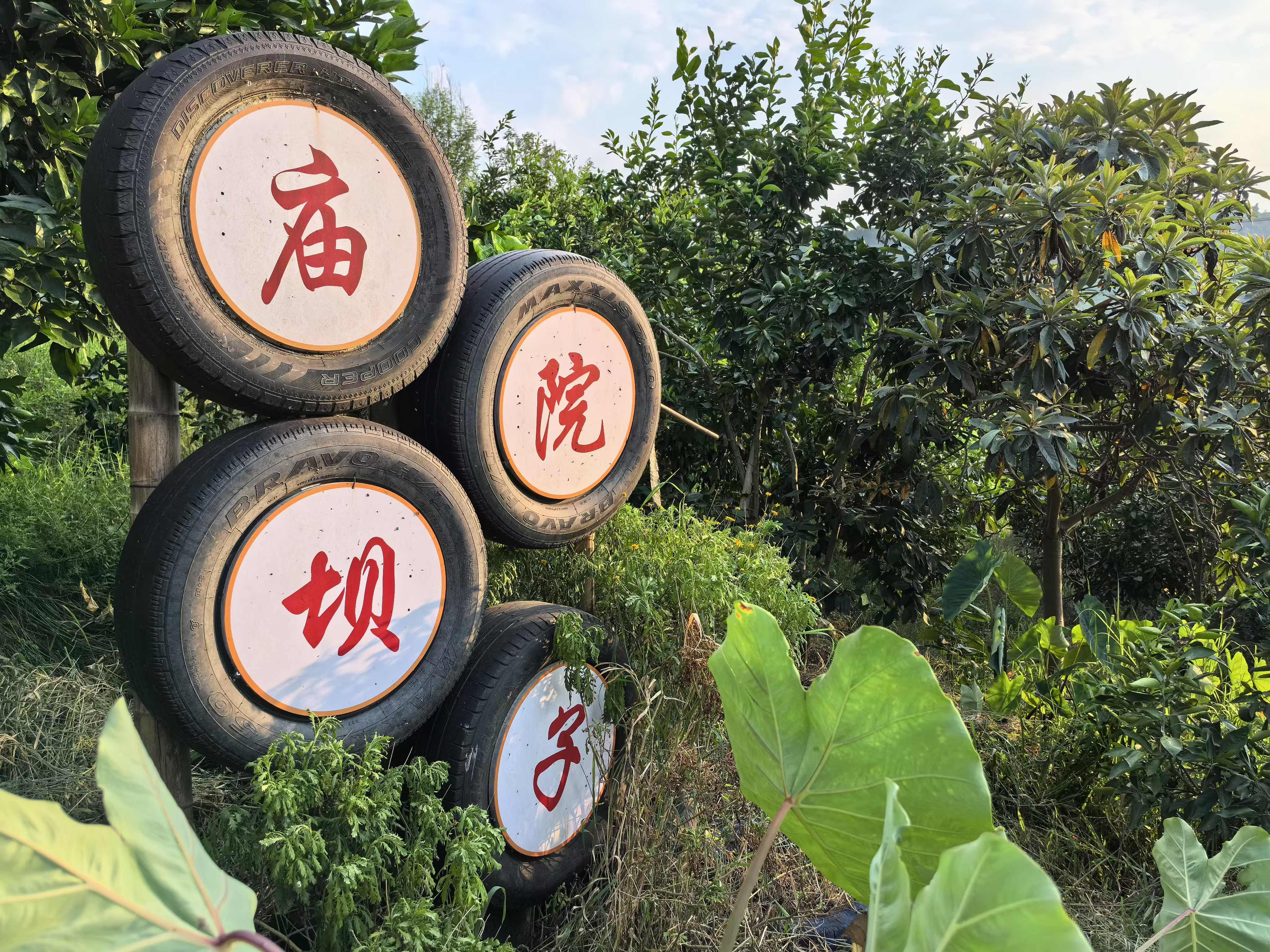 用废弃轮胎做成的院落标牌美观又有创意。夏荣伟 摄